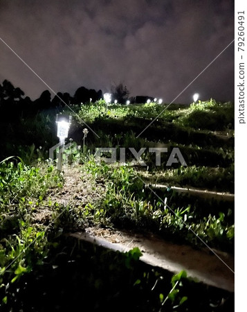照亮草梯的 LED 太陽能燈 照亮草梯的 LED 太陽能燈 79260491