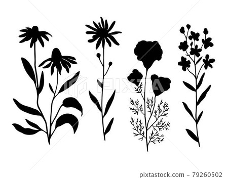 Vintage floral set of leaves and branches. Vector illustration Vintage floral set of leaves and branches. Vector illustration 79260502