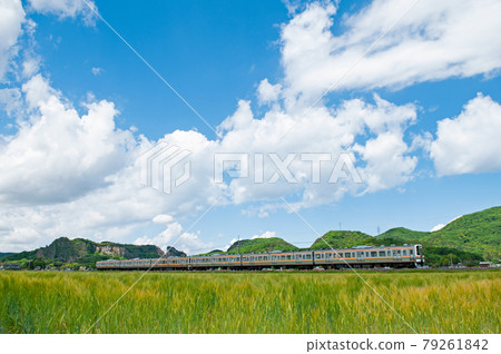 兩毛線211系列 79261842