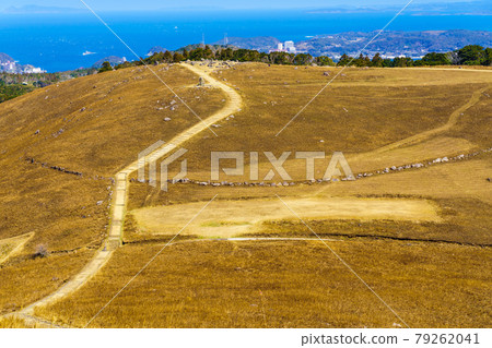 燒河內山口後【長崎縣平戶市】 79262041