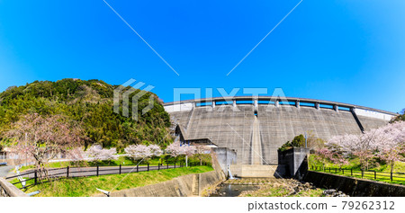 橫竹水壩櫻花全景[佐賀縣嬉野市] 79262312