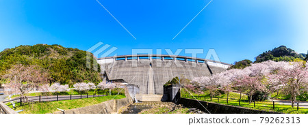 橫竹水壩櫻花全景[佐賀縣嬉野市] 79262313