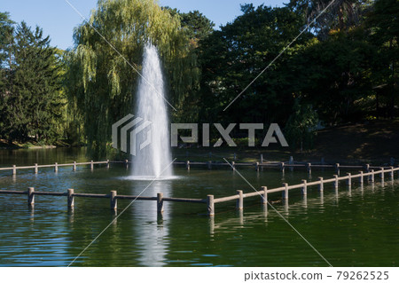 Summer green city park fountain 79262525