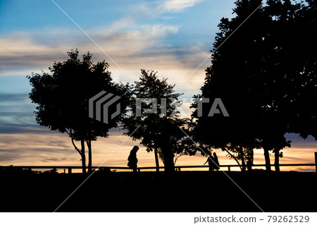 美麗的黃昏公園 79262529