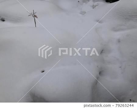 Scenery of heavy snow Scenery of heavy snow 79263244