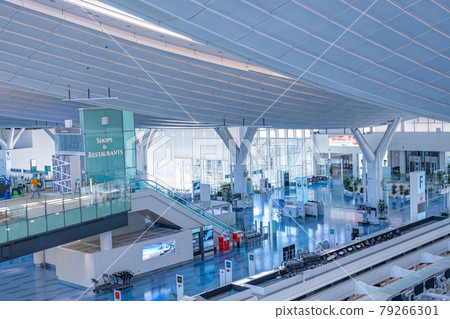 Airport Airplane Haneda Airport Takeoff 下午 Airline Engine Brake Terminal Terminal 3 79266301