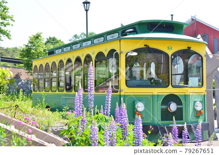 Kiyosato Picnic Bus 79267651