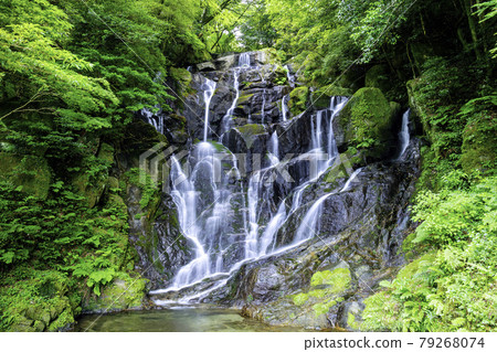 A popular spot in Itoshima, the beautiful Shiraito Waterfall (Itoshima City, Fukuoka Prefecture) 79268074