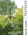 ambush 79270235