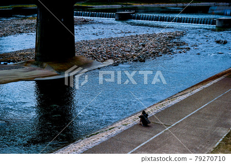 4月2日，日本寶塚大橋河岸的春景 79270710