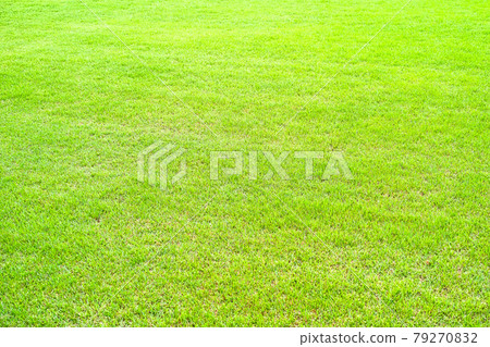 夏季圖像草坪割草地面綠色 夏季圖像草坪割草地面綠色 79270832