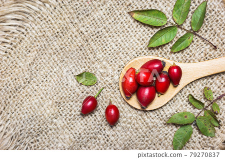 Rose hip fruits background Rose hip fruits background 79270837