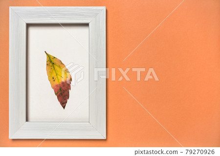 Colorful autumn background Colorful autumn background 79270926