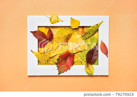 Colorful autumn background Colorful autumn background 79270928