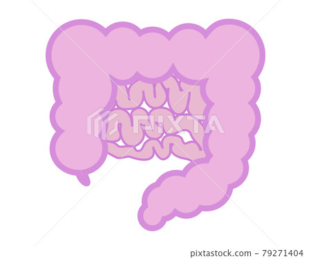 bowel, intestine, vector - Stock Illustration [79271404] - PIXTA