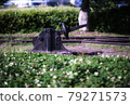 Trace of track 79271573