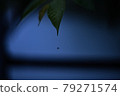 Drops of water 79271574