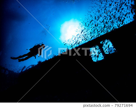 潛水員 79271694