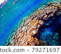 沖繩潛水 79271697