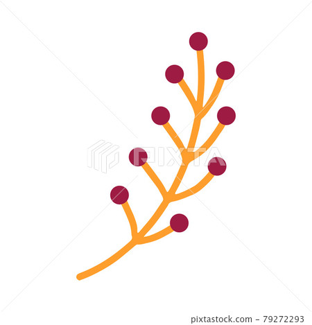 A sprig with red berries . Vector illustration A sprig with red berries . Vector illustration 79272293
