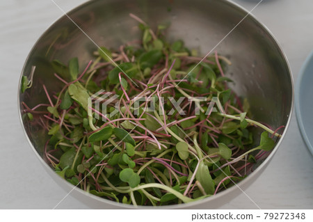 Microgreens in steel bowl ready to make salad 79272348