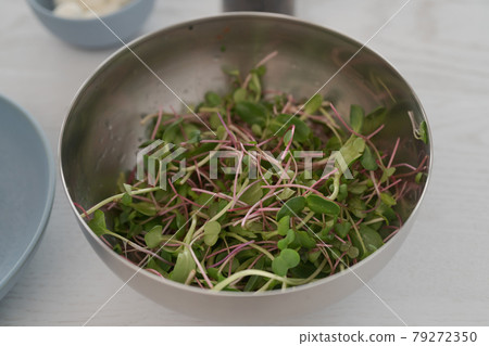 Microgreens in steel bowl ready to make salad Microgreens in steel bowl ready to make salad 79272350
