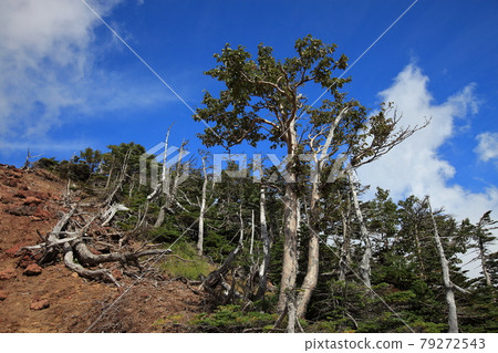 夏末攀登南台山 夏末攀登南台山 79272543