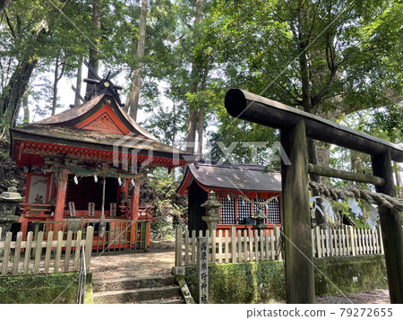 熊野古道 / 中邊高原熊野神社 熊野古道 / 中邊高原熊野神社 79272655