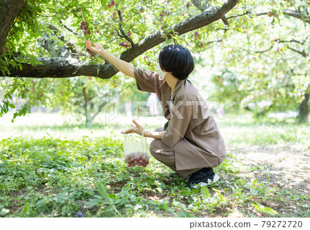 一個享受梅花狩獵的女人 79272720