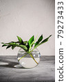 Peony green leaves in glass sphere vase with water on textured stone background, angle view 79273433