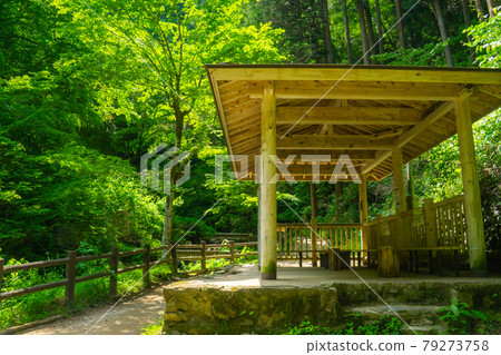 Early summer Hossawa Falls Rest Area 79273758