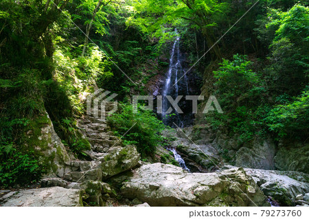 Hossawa Falls in the forest 79273760