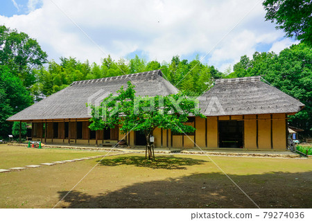 Spring Tsuzuki Minkaen (Otsuka Saikachi Ruins Park) Spring Tsuzuki Minkaen (Otsuka Saikachi Ruins Park) 79274036