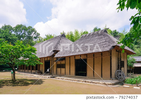 Spring Tsuzuki Minkaen (Otsuka Saikachi Ruins Park) 79274037