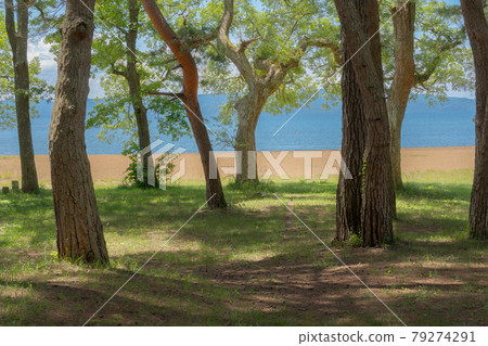 Lake Inawashiro Shidahama 79274291