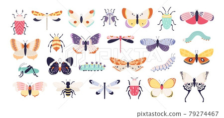 Decorative insects. Doodle beetles, butterflies, dragonflies, bee, caterpillar and grasshopper. Vintage spring bug and worm, flat vector set Decorative insects. Doodle beetles, butterflies, dragonflies, bee, caterpillar and grasshopper. Vintage spring bug and worm, flat vector set 79274467