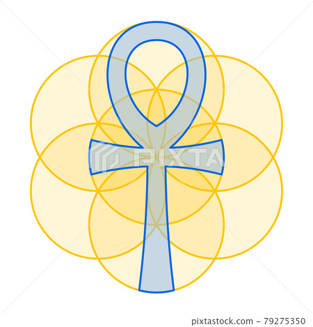 Blue Ankh fits perfect in gold colored Seed of Life. The handle cross, an Egyptian hieroglyphic symbol, within a geometric figure of overlapping circles, a spiritual pattern of Sacred Geometry. Vector 79275350