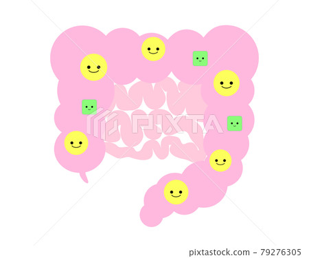 Intestinal flora good bacteria Intestinal flora good bacteria 79276305