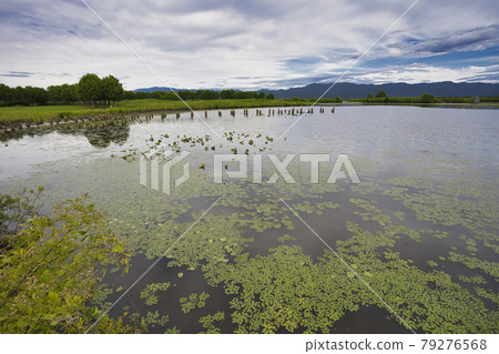 Natural scenery Fukushimagata Niigata City Niigata Prefecture 79276568