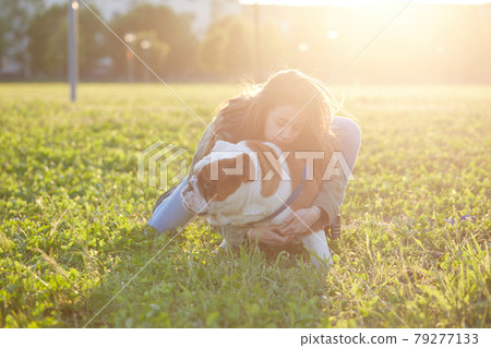 young girl play with her british bulldog at sunset young girl play with her british bulldog at sunset 79277133