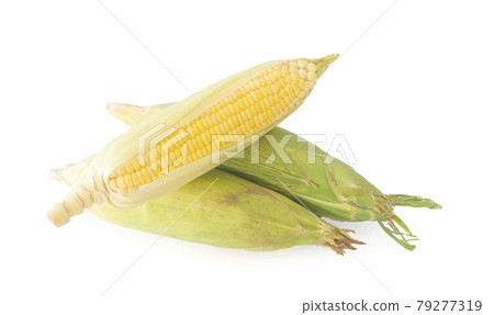 Corn isolated on white background Corn isolated on white background 79277319