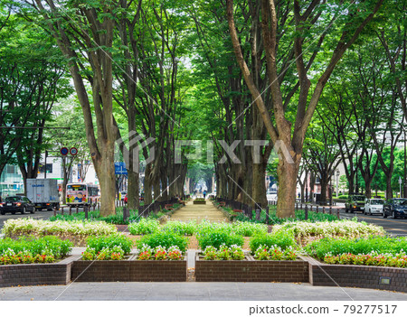 仙台上禪寺通 79277517