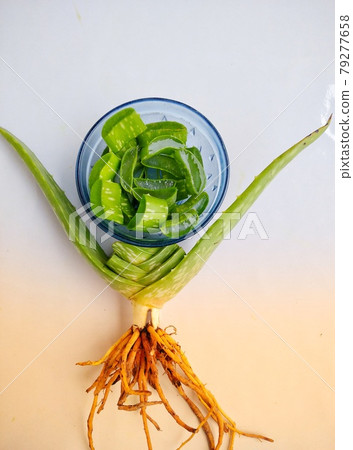 An aloevera plant and some cutting aloevera pieces in a bowl on a white and brown background.  79277658