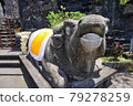 巴厘島寺廟牛 79278259