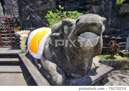 巴厘島寺廟牛 79278259