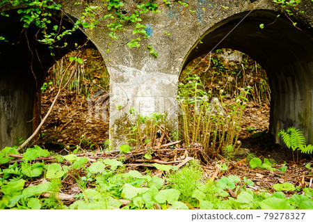 綠樹環繞的新井變電站遺址外觀 79278327
