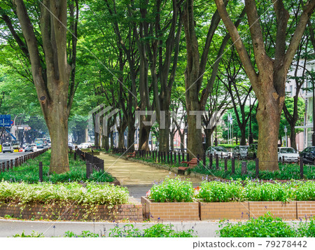 仙台上禪寺通 79278442