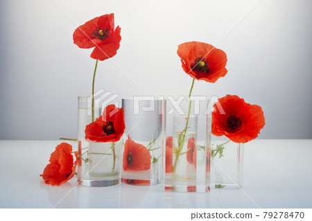 Product crystal minimal scene with glass geometric display platform and poppies flowers. Stand to show cosmetic product. Product crystal minimal scene with glass geometric display platform and poppies flowers. Stand to show cosmetic product. 79278470