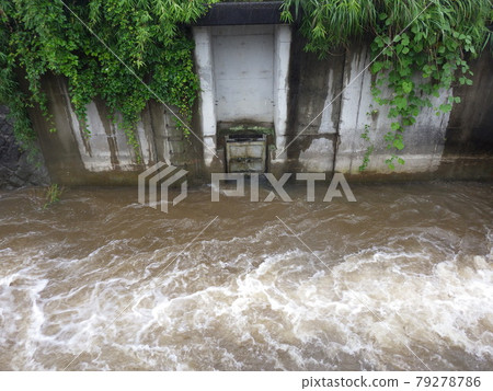 排水管上的防回水閥,用於阻止被洪水淹沒的河流回流 排水管上的防回水閥,用於阻止被洪水淹沒的河流回流 79278786