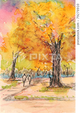 秋天的北海道大學銀杏大道 79278910